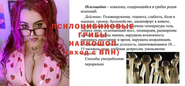 молекула духа Аркадак