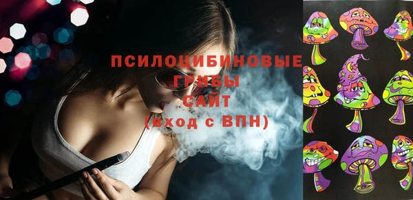 молекула духа Аркадак