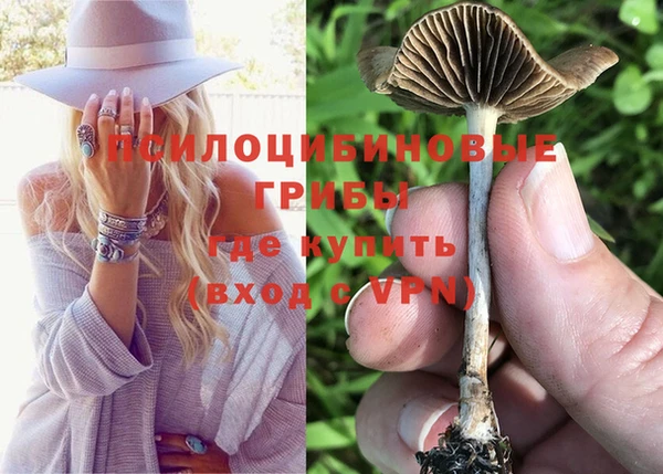 PSILOCYBIN Арсеньев